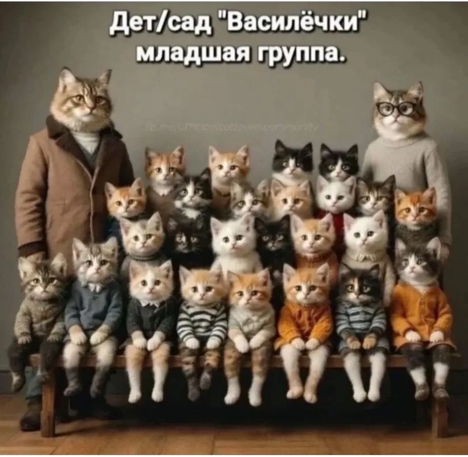 Дет/сад 