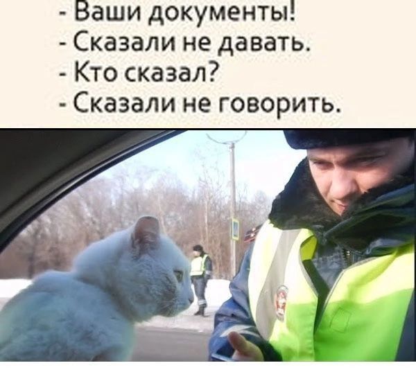Ваши документы!
Сказали не давать.
Кто сказал?
Сказали не говорить.