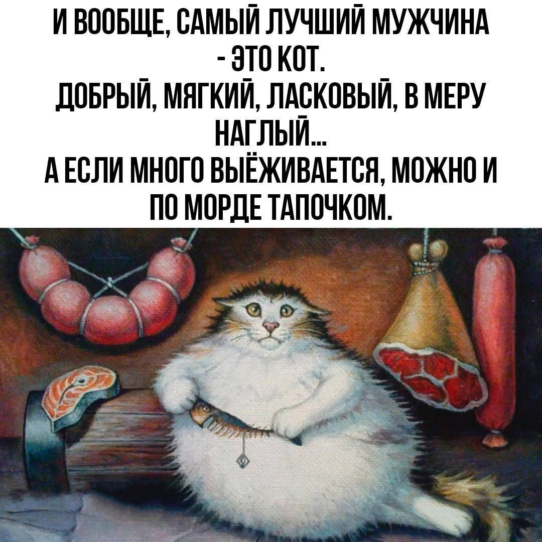 И ВООБЩЕ, САМЫЙ ЛУЧШИЙ МУЖЧИНА - ЭТО КОТ.
ДОБРЫЙ, МЯГКИЙ, ЛАСКОВЫЙ, В МЕРУ НАГЛЫЙ...
А ЕСЛИ МНОГО ВЫЙЕЖИВАЕТСЯ, МОЖНО И ПО МОРДЕ ТАПОЧКОМ.
