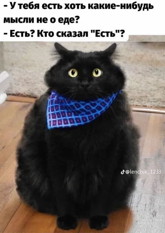 - У тебя есть хоть какие-нибудь мысли не о еде?
- Есть? Кто сказал 