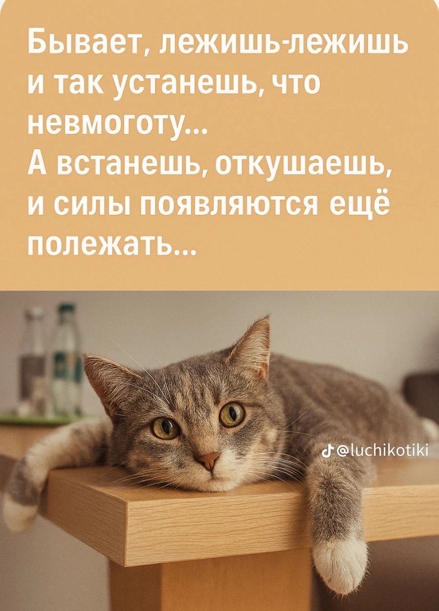 Бывает, лежишь-лежишь и так устанешь, что немногого... А встанешь, откушаешь, и силы появляются ещё полежать...