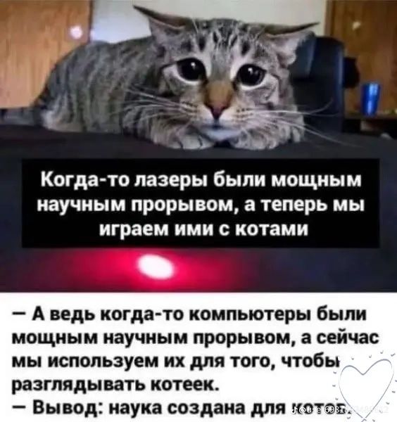 Когда-то лазеры были мощным научным прорывом, а теперь мы играем ими с котами — А ведь когда-то компьютеры были мощным научным прорывом, а сейчас мы используем их для того, чтобы разглядывать котеек. — Вывод: наука создана для котов.