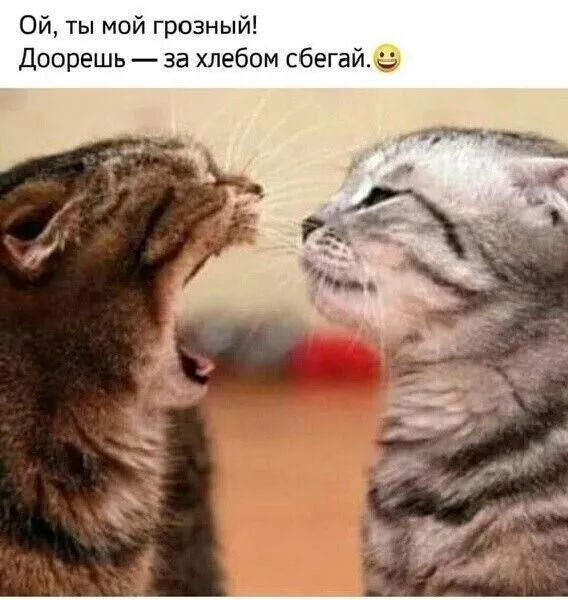 Ой, ты мой грозный! Доореешь — за хлебом сбегай.