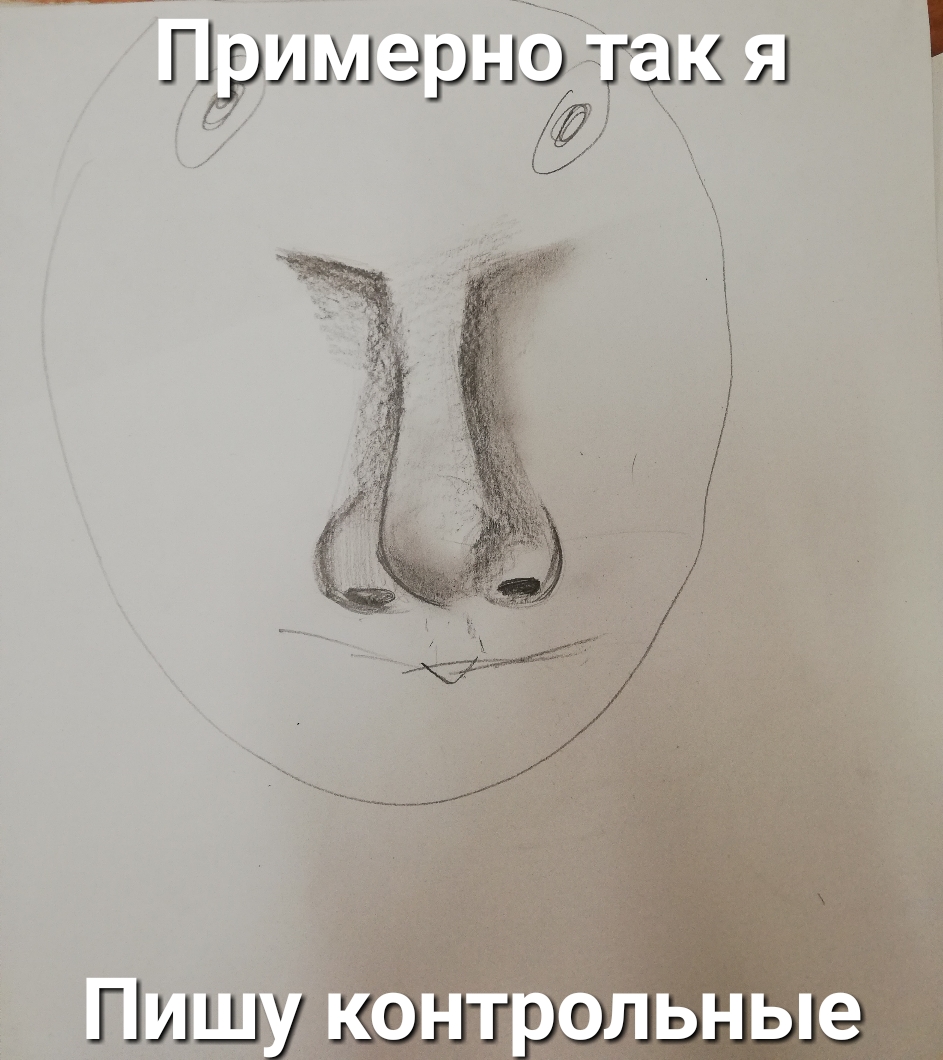 Пыщ контрольные