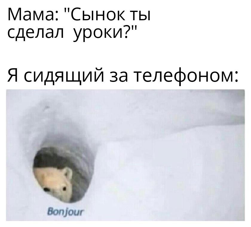 Мама Сынок ты сделал уроки Я сидящий за телефоном г
