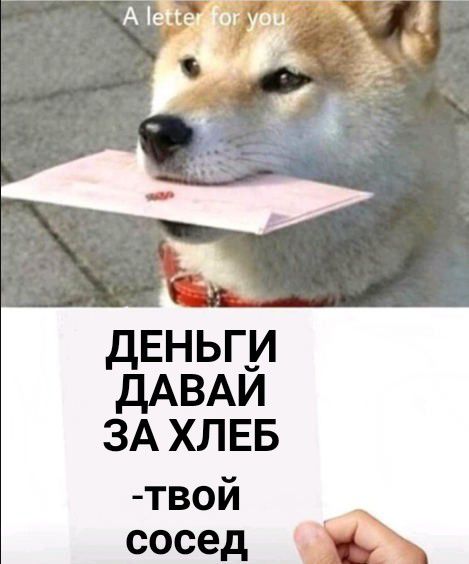 дЕньги дАВАИ ЗА хлвв твой _ _ сосед