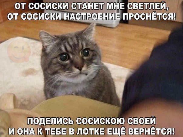 Т МНЕ СВЕТПЕЙ ОТ СОСИСКИНАСЦТРЗОЕНИЕ ПРОСНЁТСЯ ТЕБЕ В ПОТКЕ ЕЩЁ ВЕРНЁТСЯ