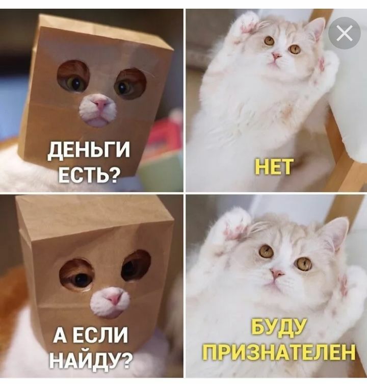 Ё1ЁуДД у