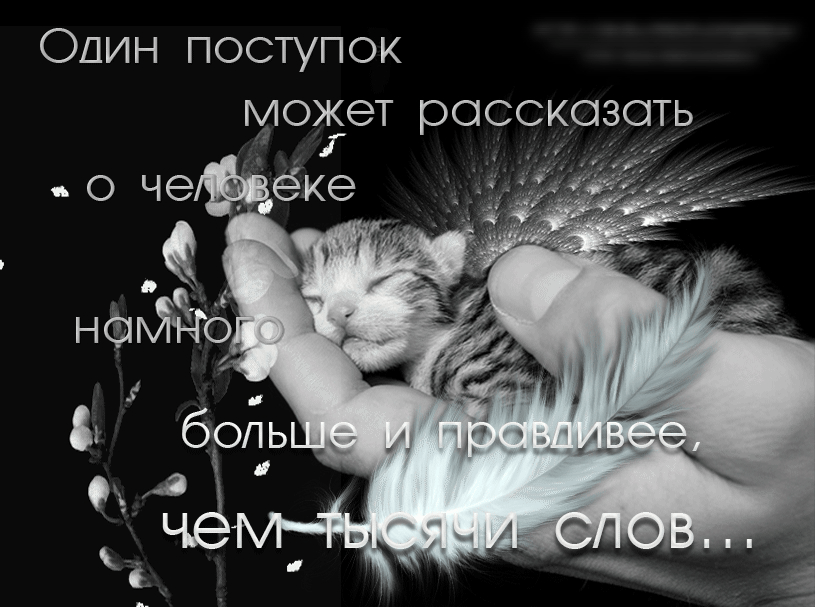 Один поступок моёет рассказать