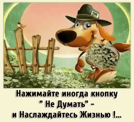 Нажитмайиногда киопку Не думать и Наслаждайтесь Жизнью
