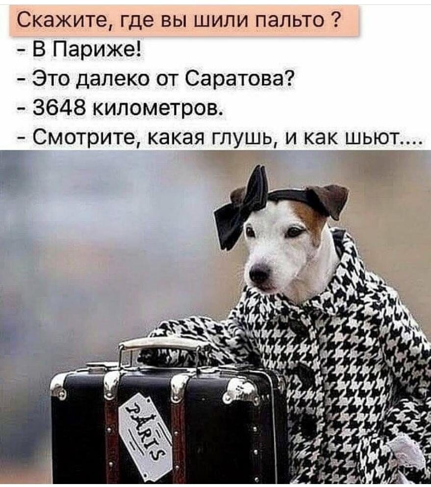 Скажите где вы шили пальто В Париже Это далеко от Саратова 3648 километров Смотрите какая глушь и как шьют