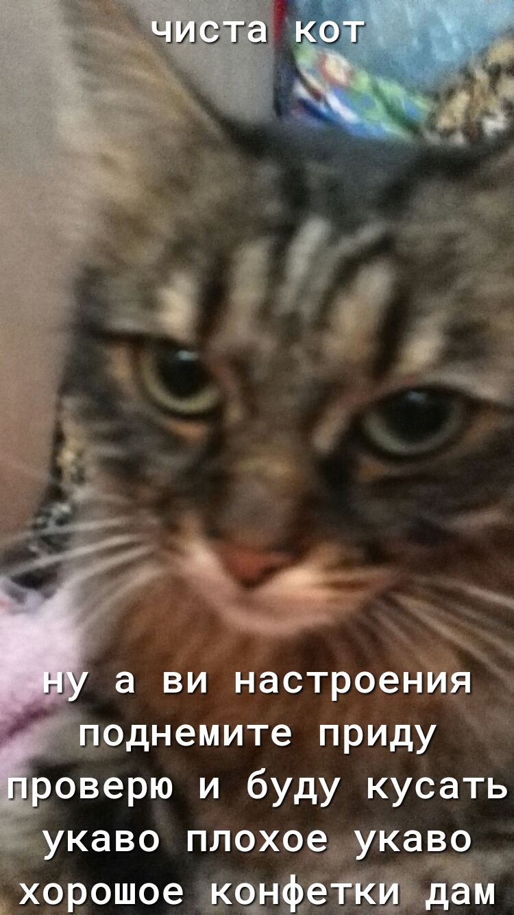 а ви настроения поднемите приду оверю и буду кусать укаво плохое укаво_ хорошое кчдфетйшёдам