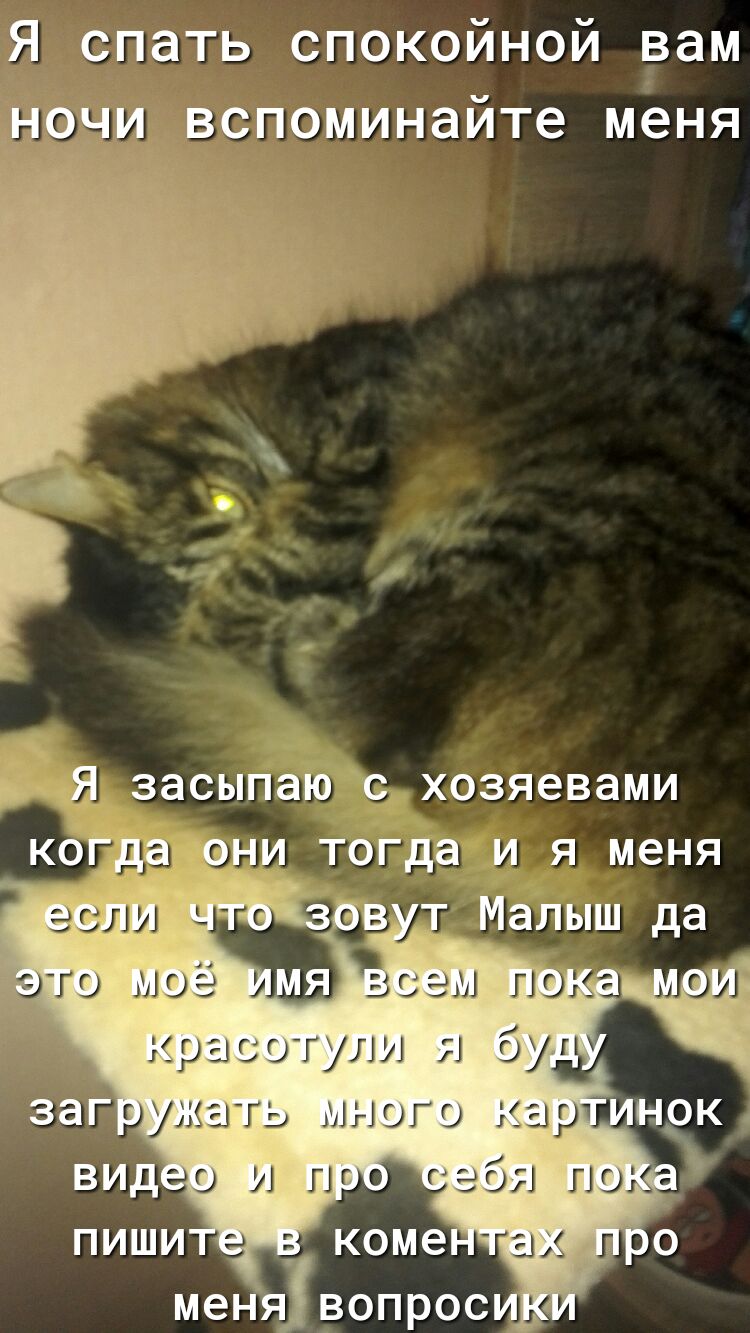 Я спать спокойной вам вспоминайте меня Ёча_засыпаЮс хозяевами кбГЧ ъпни тогда и я меня _ Е Г