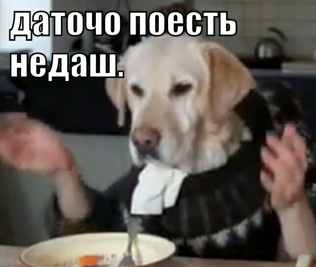 точо поесть недаш