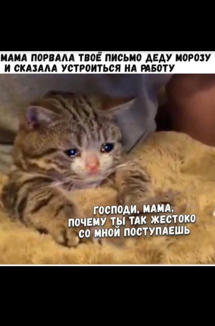 МАМА ПОРВААА ТВОЁ ПИСЬМО АЕАУ МОРОЗУ И СКАЗААА УОТРОИТЬОЯ НА РАБОТУ ГОСПОАИ МАМА ПОЧЕМУ ТЫ ТАК ЖЕОТОКО СО _МНОИ ПООТУПАЕШЬ