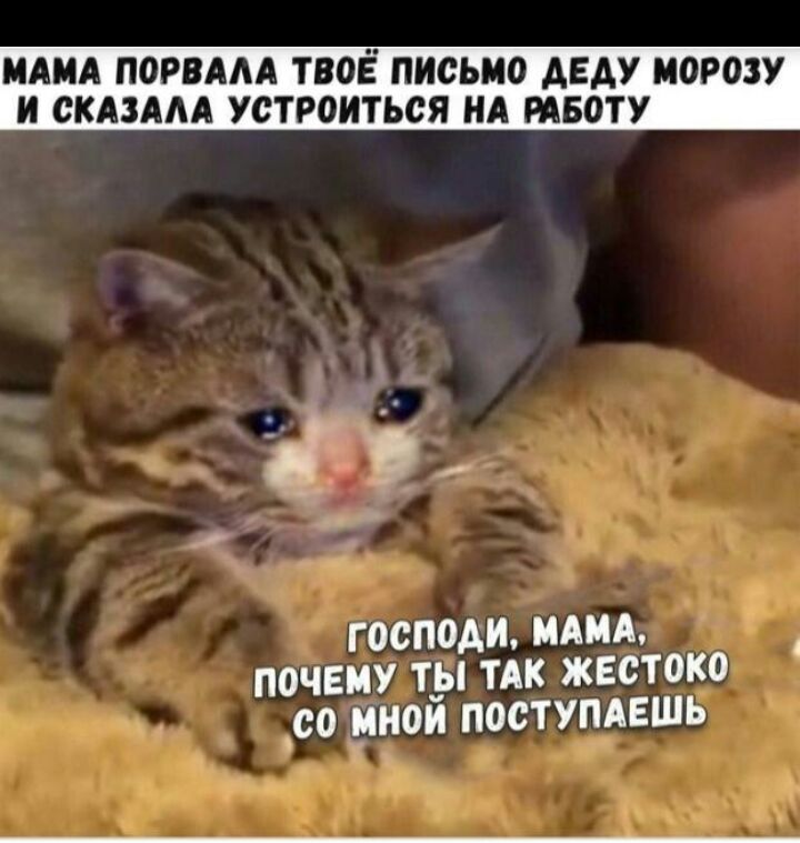 МАМА ПОРВААА ТВОЁ ПИСЬМО АЕАУ МОРОЗУ И СКАЗААА УСТРОИТЬСЯ НА РАБОТУ 9 ГОСПОАИ МАМА ПОЧЕМУ Т_Ы ТАК ЖЕСТОКО СО МНОИ ПОСТУПАЕШЬ