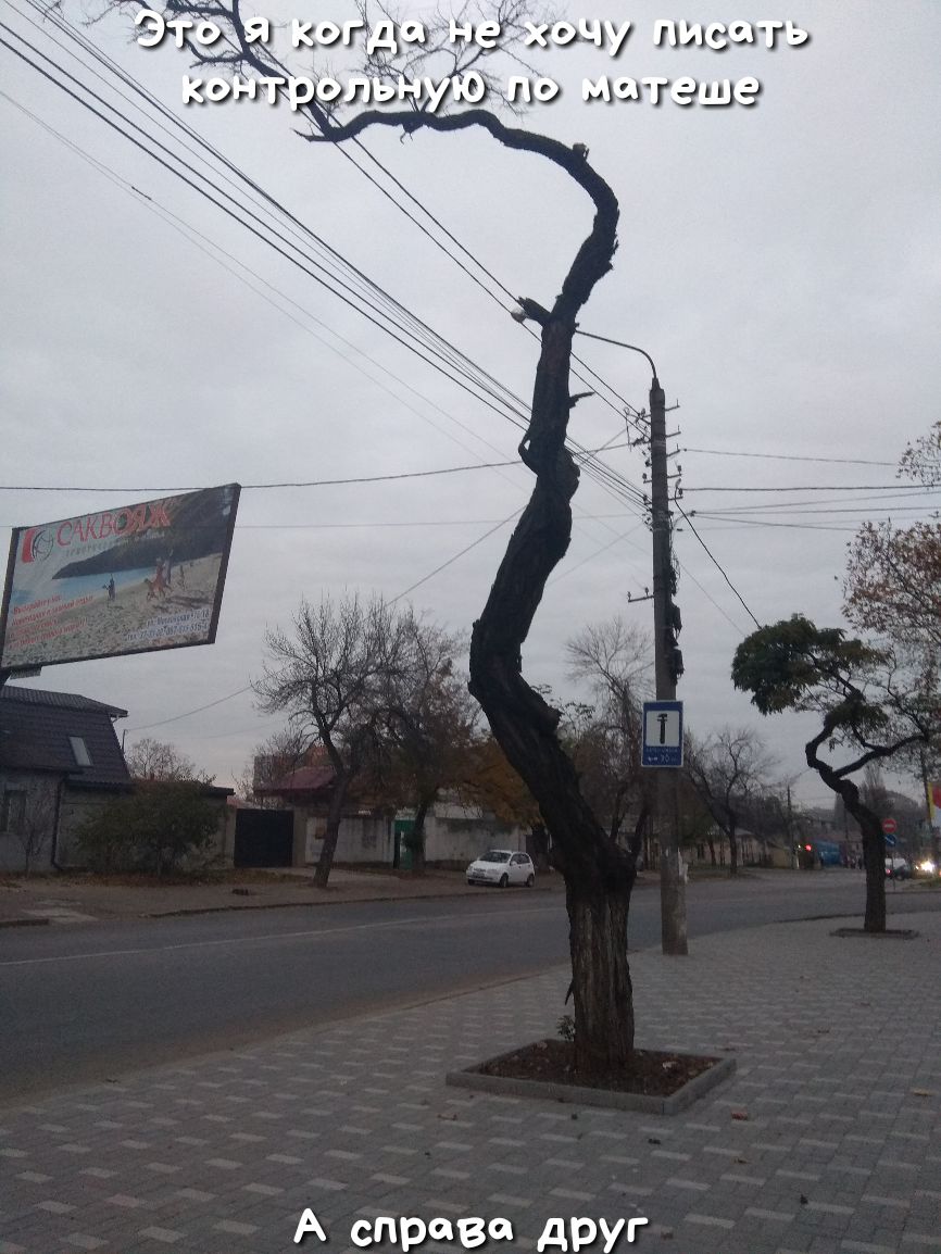 А справа друг