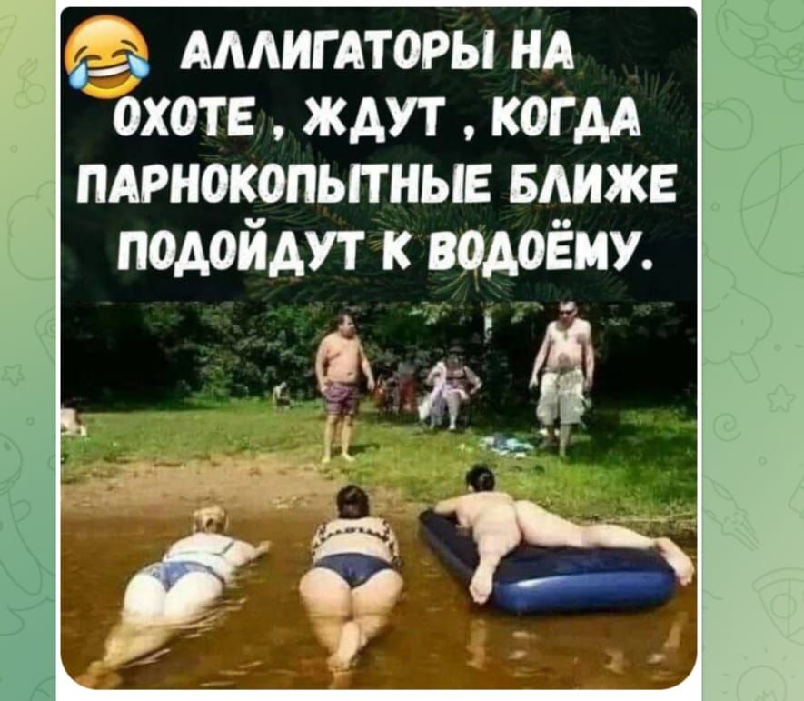 АЛЛИГАТОРЫ НА ОХОТЕ, ЖДУТ, КОГДА ПАРНОКОПЫТНЫЕ БЛИЖЕ ПОДОЙДУТ К ВОДЁМУ.