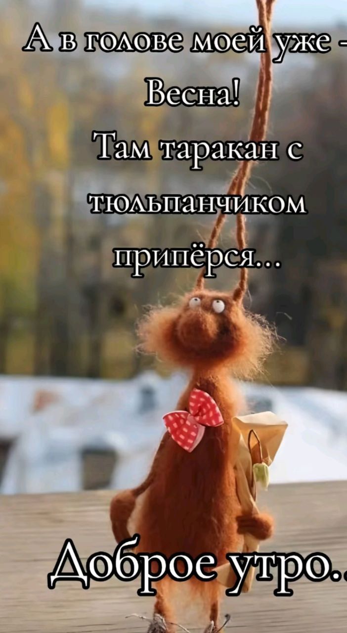 А в голове моей уже - Весна! Там таракан с тюльпанчиком припёрся... Доброе утро..