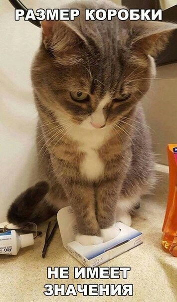 ЁАЕЗМЕРЕ КОРОБКИ ЩЁШ