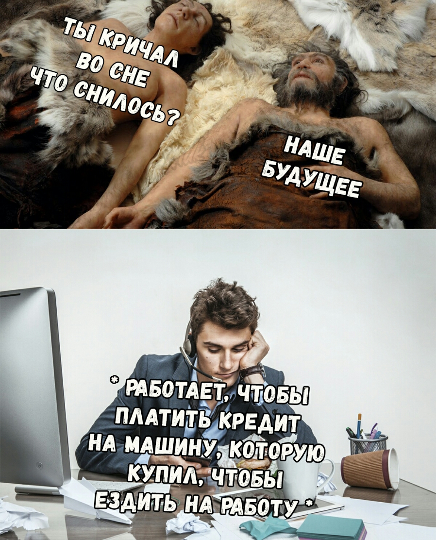 пмтипдкрвдит нд мдшину