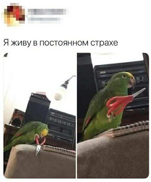 Я ЖИВУ В ПОСТОЯННОМ страхе