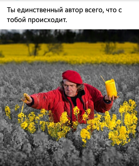 Ты единственный автор всего что с тобой происходит