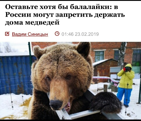 Оставьте хотя бы балалайки в России могуг запретить держать дома медведей 4 Вадим Синицын