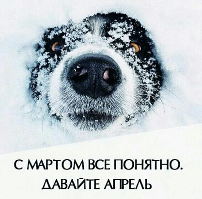 С МАРТОМ ВСЕ ПОНЯТНО ААВАЙТЕ АПРЕАЬ