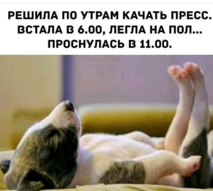РЕШИЛА ПО УТРАМ КАЧАТЬ ПРЕСС ВСТАПА В 600 ПЕГПА НА ПОЛ ПРОСНУПАСЬ В 1100