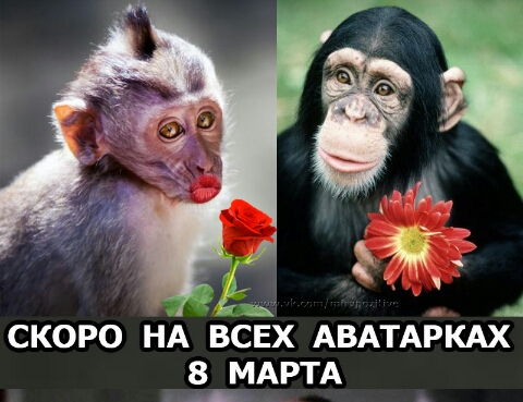 А СКОРО НА ВСЕХ АВАТАРКАХ 8 МАРТА А