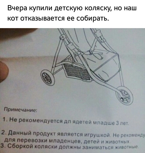Вчера КУПИПИ детскую коляску НО наш КОТ ОТКЗЗЫВЗЕТСЯ ее СОБИРЗТЬ