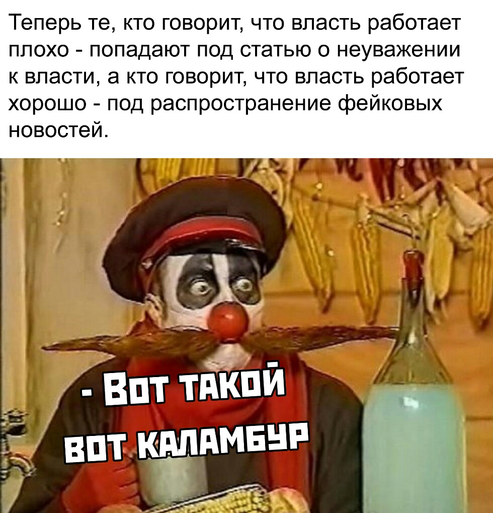Теперь те кто говорит что власть работает плохо попадают под статью о неуважении к власти а кто говорит что власть работает хорошо под распространение фейковых новостей