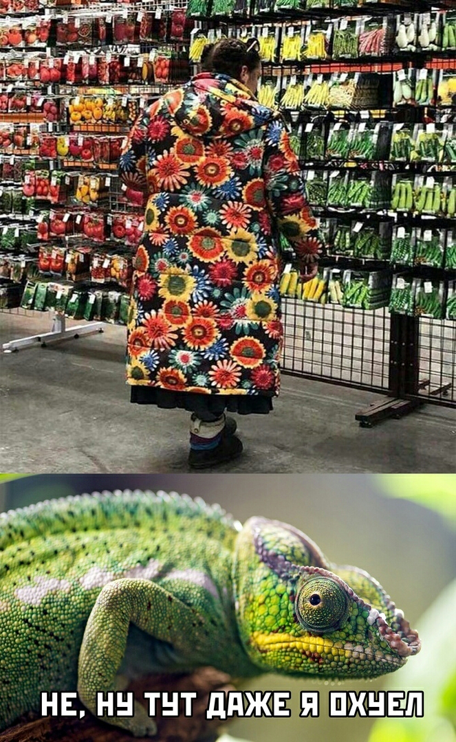 лдж Т П Т П _Н