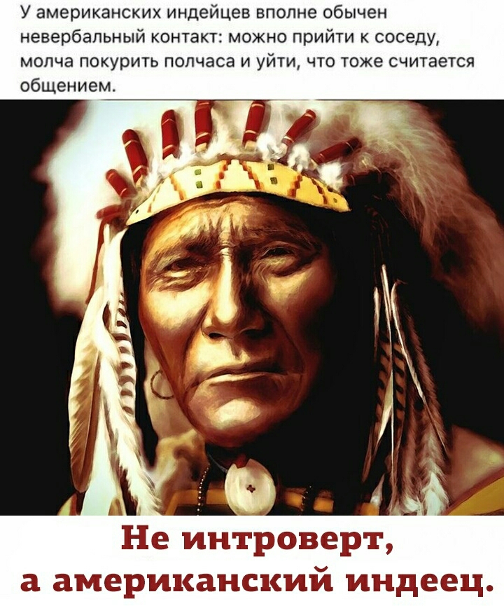 У американских индейцев вполне обычен невербальный контакт можно прийти к соседу молча покурить полчаса и уйти что тоже считается общением Не интроверт а американский индеец