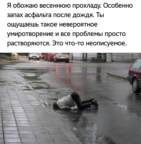 Я обожаю весеннюю прохладу Особенно запах асфальта после дождя Ты ощущаешь такое невероятное умиротворение и все проблемы просто растворяются Это чтото неописуемое