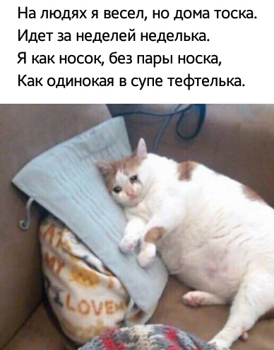 На людях я весел но дома тоска Идет за неделей неделька Я как носок без пары носка Как одинокая в супе тефтепька