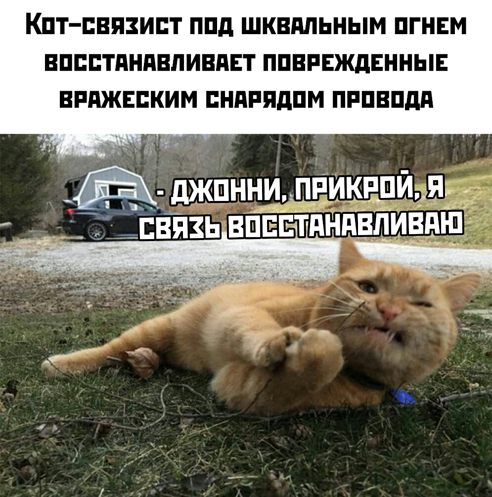 КПТ ЕВПЗИЕТ ППд ШКВППЬНЫМ ПГНЕМ ВПЕПТАНПВПИВПЕТ ППВРЕЖдЕННЫЕ ВРПЖЕПКИМ ЕНдРПдПМ ПРПВПдд