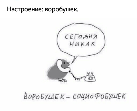 Напроение воробушек СЕГОАНЯ никлк Вора БУШЕК _ соцИоФоБУШЕК