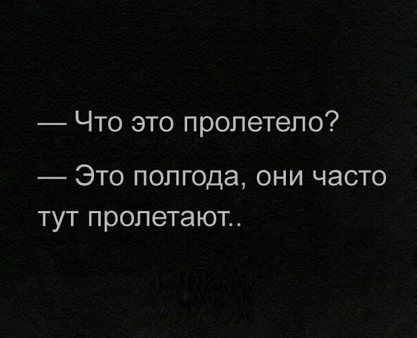Что это пролетело Это полгода они часто тут пролетают