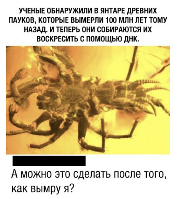 УЧЕНЫЕ ОБНАРУЖИЛИ В ЯНТАРЕ дРЕВНИХ ПАУКОВ КОТОРЫЕ ВЫМЕРЛИ 100 МЛН ЛЕТ ТОМУ НАЗАД И ТЕПЕРЬ ОНИ ООБИРАЮТОЯ ИХ ВООКРЕСИТЬ с ПОМОЩЬЮ дНК _ А можно это сделать после того как вымру я