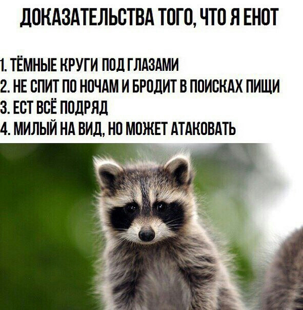 дОНАЗАТЕЛЬОТВА ТОГО ЧТО Я ЕНОТ 1 ТЁМНЫЕ КРУГИ ПОД ГЛАЗАМИ 2 НЕ ОПИТ ПО НОЧАМ И БРОДИТ В ПОИСКАХ ПИЩИ 3 ЕОТ ВВЁ ПОДРЯД 4 МИЛЫЙ НА ВИД НО МОЖЕТ АТАНОВАТЬ