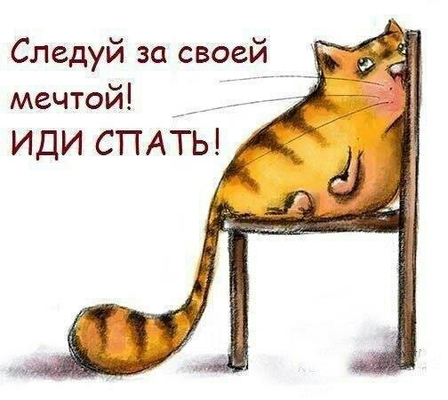 Следуй за своей мечтой ИДИ СПАТЬ
