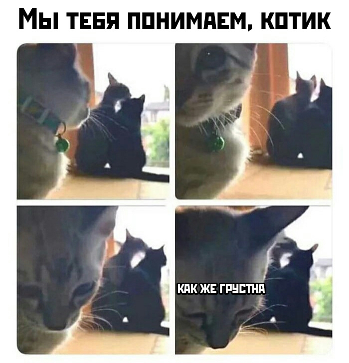 Мы ТЕБЯ ППНИМНЕМ КПТИК