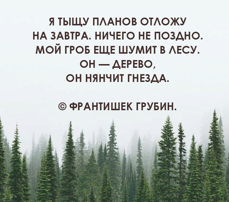 Я ТЫЩУ ПААНОВ ОТАОЖУ НА ЗАВТРА НИЧЕГО НЕ ПОЗАНО МОЙ ГРОБ ЕЩЕ ШУМИТ В АЕСУ ОН АЕРЕВО ОН НЯНЧИТ ГНЕЗАА ФРАНТИШЕК ГРУБИН
