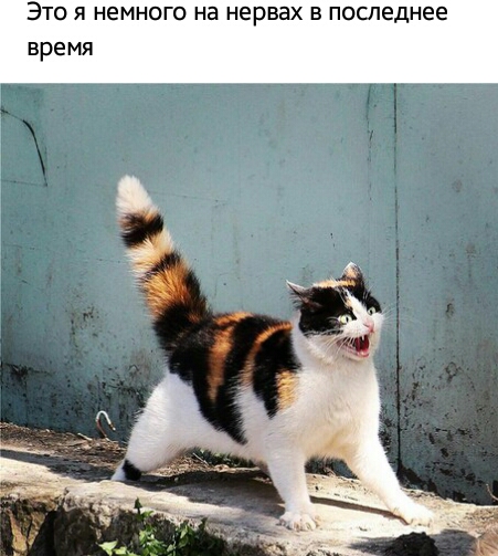 Это я немного на нервах в последнее время