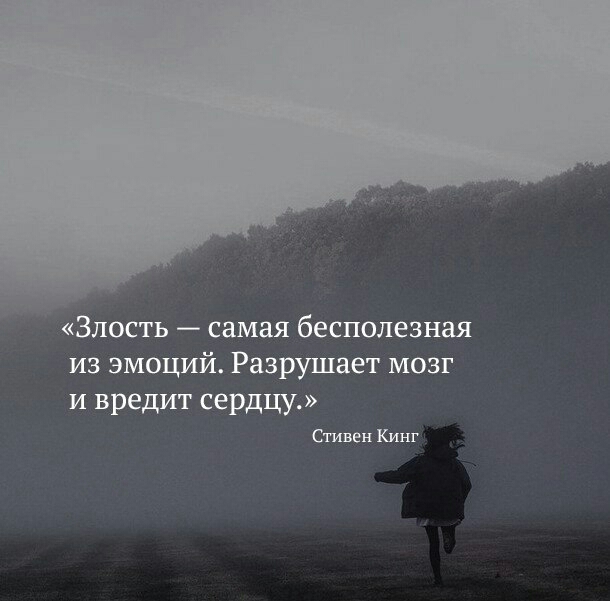 Злость самая бесполезная из эмоций Разрушает мозг и вредит сердцу Стивен Кинг