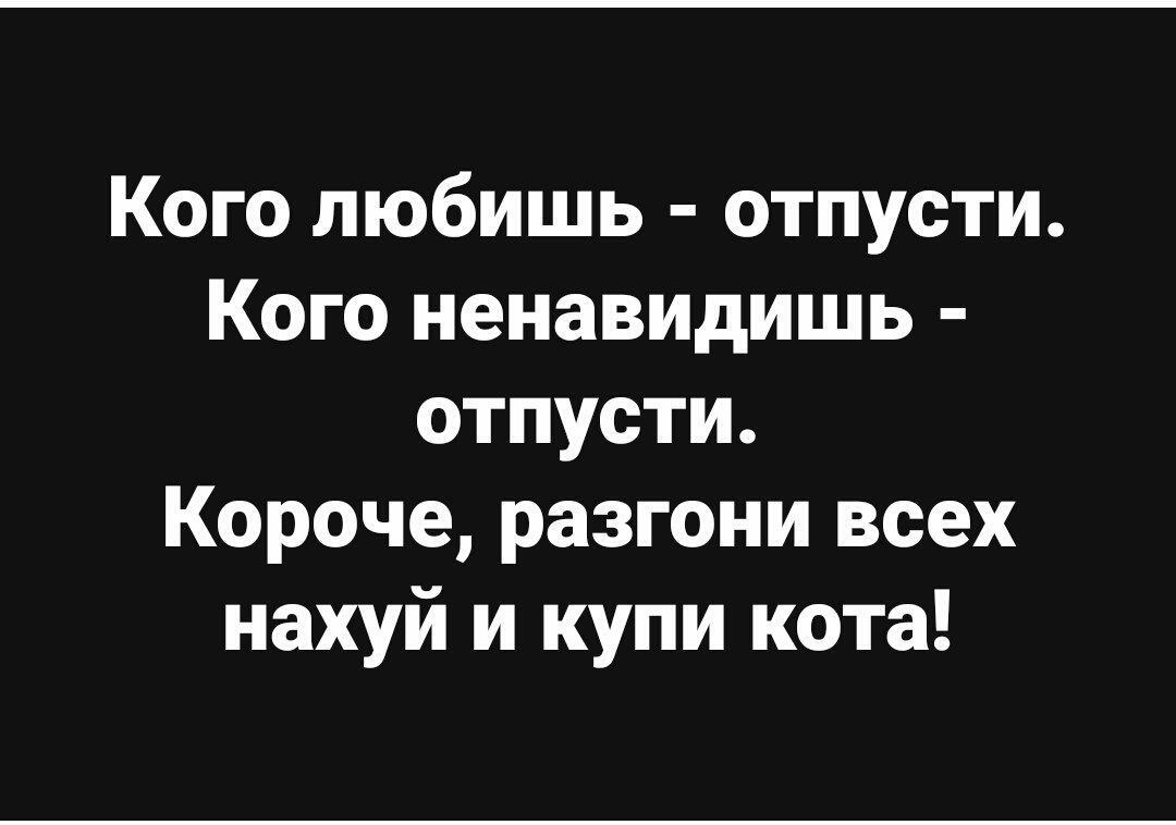Кого любишь отпусти Кого ненавидишь отпусти Короче разгони всех нахуй и купи кота