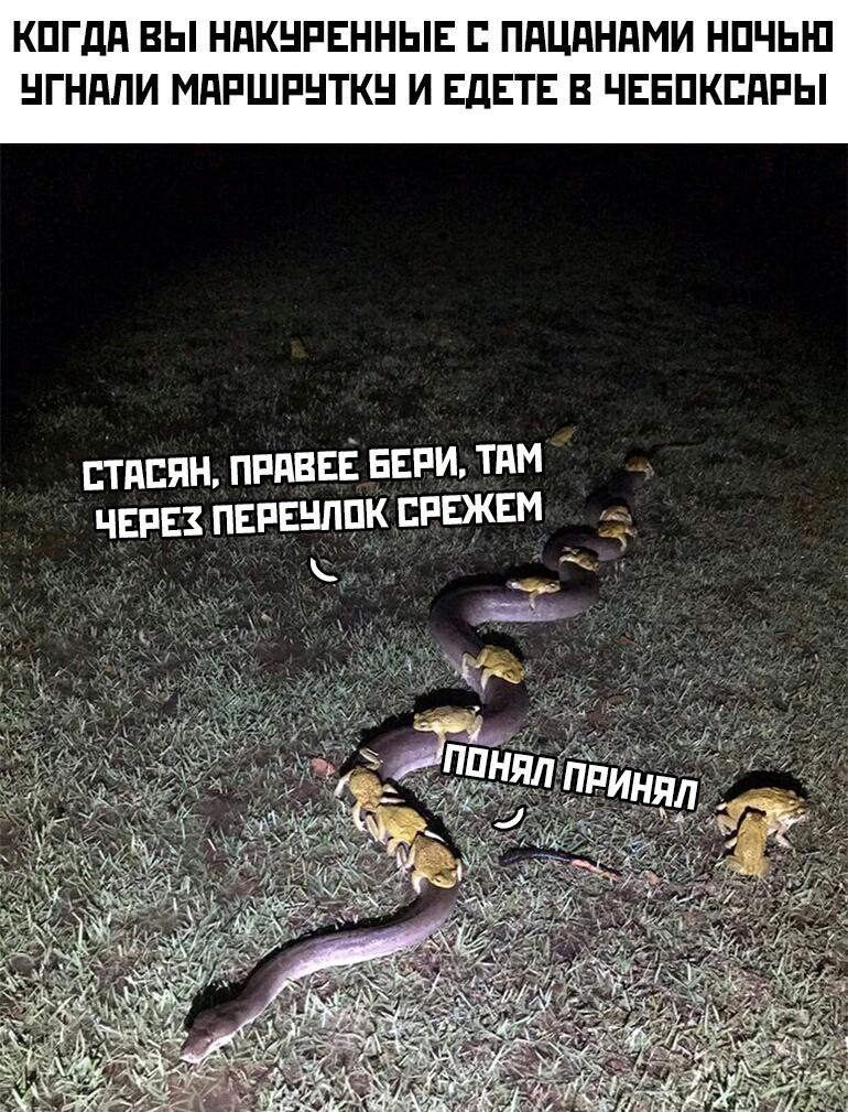 КПГдд ВЫ НПКНРЕННЫЕ ПдЦдНдМИ НПЧЫ П НГНПЛИ МдРШРНТКН И ЕдЕТЕ В ЧЕЕПКЕПРЫ стиши ппдввЁ выпи тим черн пвпвнппк свежем