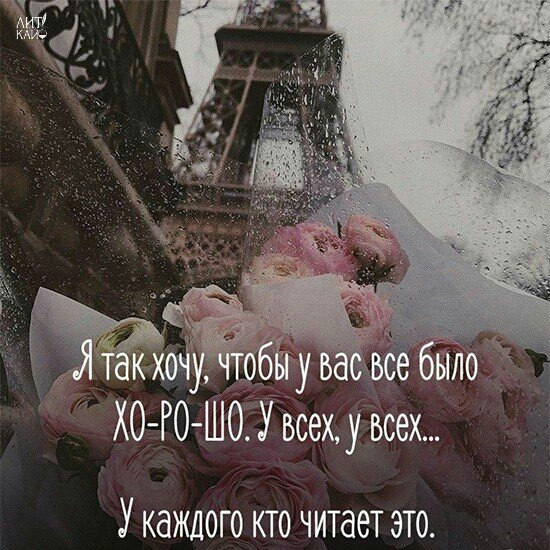 ХОРО ШО У всех у всех У КдЖДОГО КТО читает ЭТО